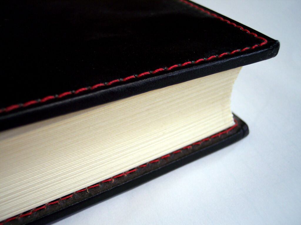 インテグラルキャリアの概念の成立の背景